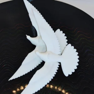Dwie Turkawki – symbol przyjaźni - obrazek 4