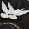 e94cff22-b740-432b-a5dc-3329b8a8ea43 Dwie Turkawki – symbol przyjaźni