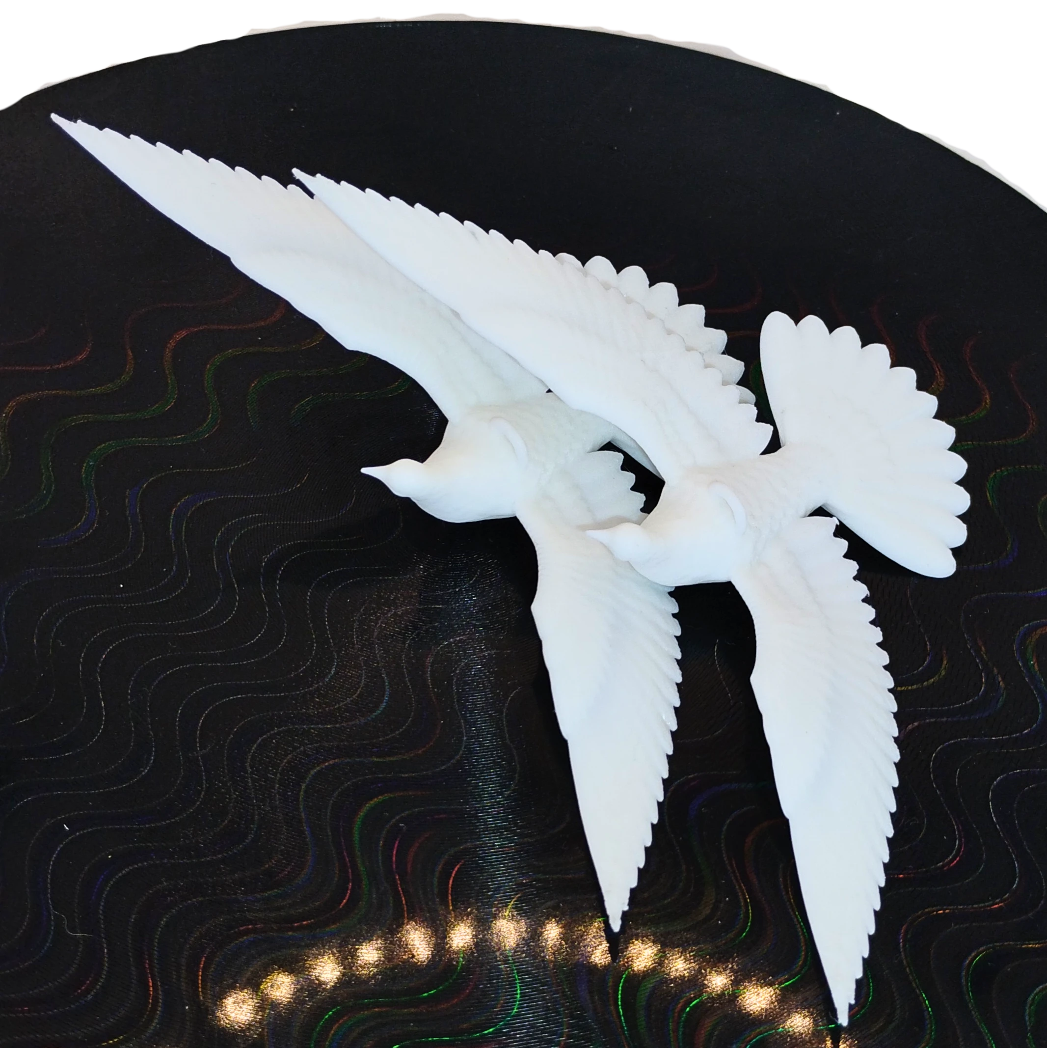 Dwie Turkawki – symbol przyjaźni - obrazek 2